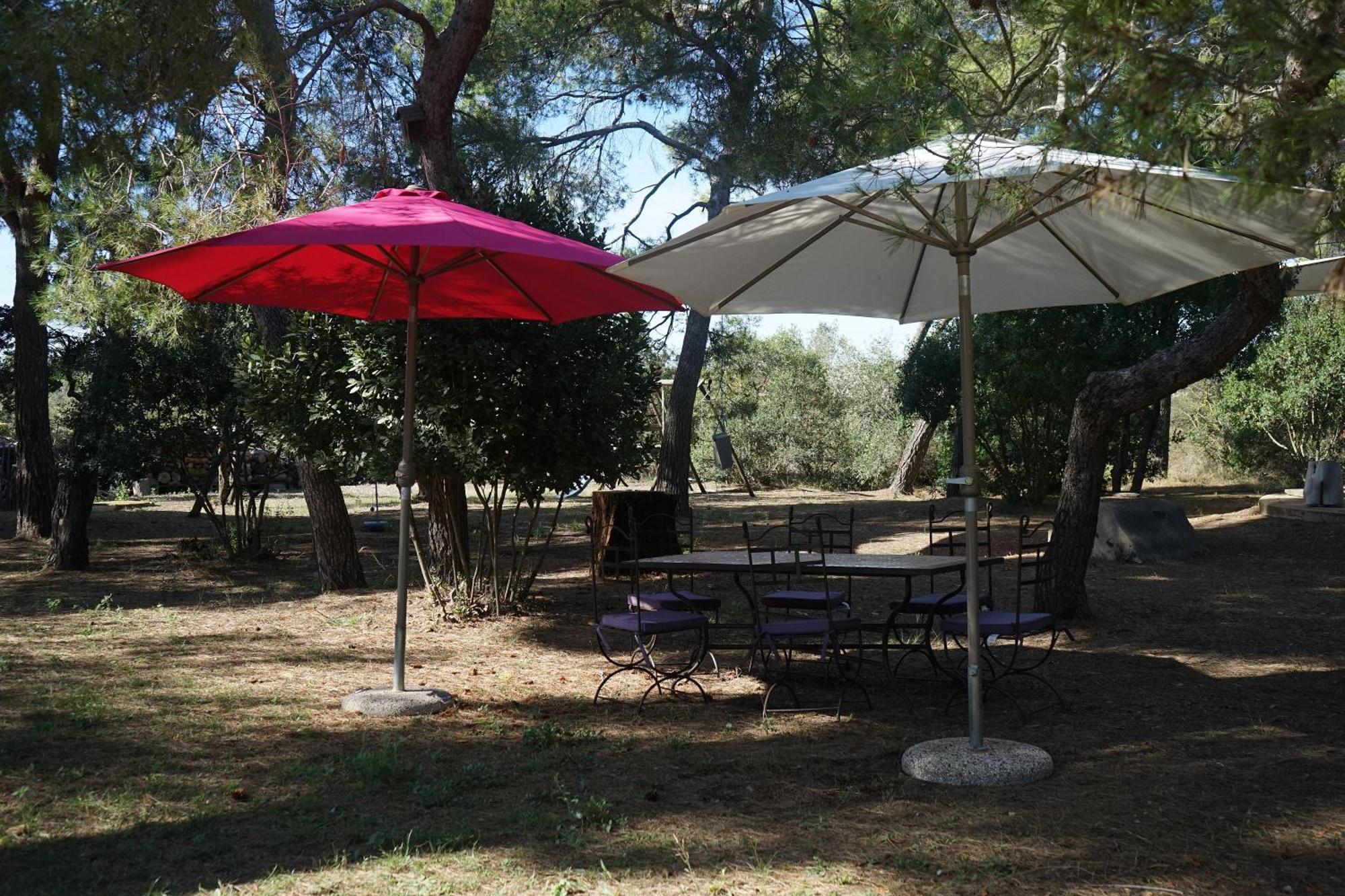 Joli Mas Au Bord De L'Etang De Thau Villa Marseillan  Eksteriør bilde